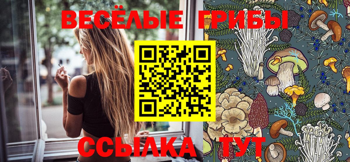 Псилоцибиновые грибы GOLDEN TEACHER Ачинск