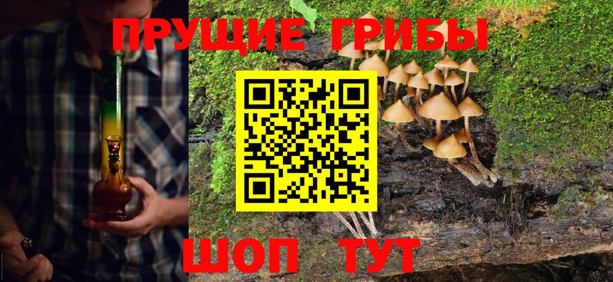 Ачинск  Псилоцибиновые грибы Psilocybine cubensis  Вход с VPN 